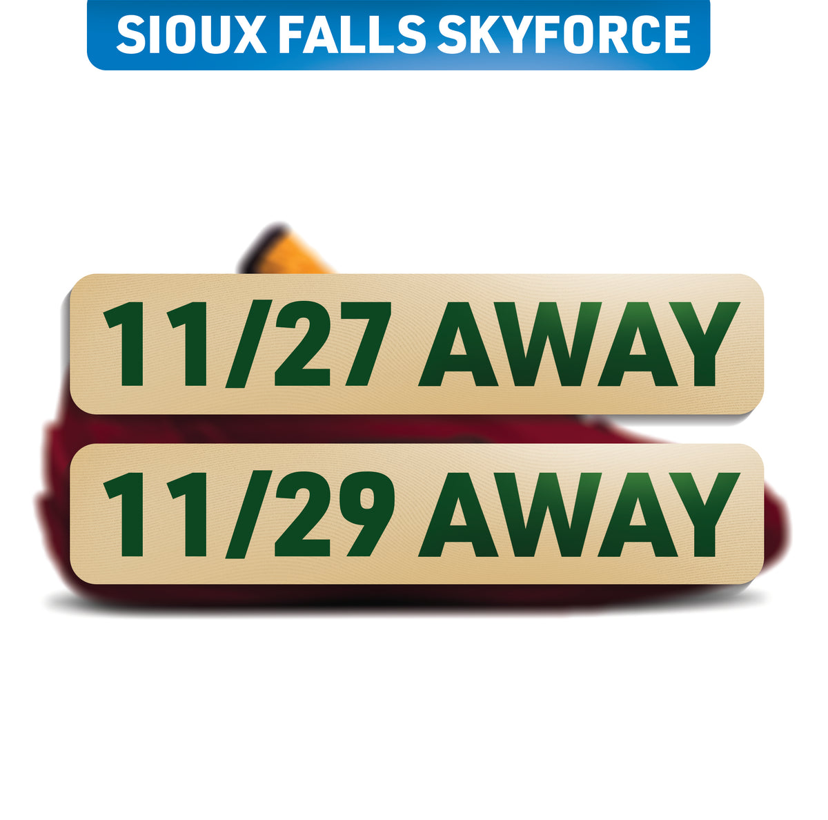 SIOUX FALLS SKYFORCE