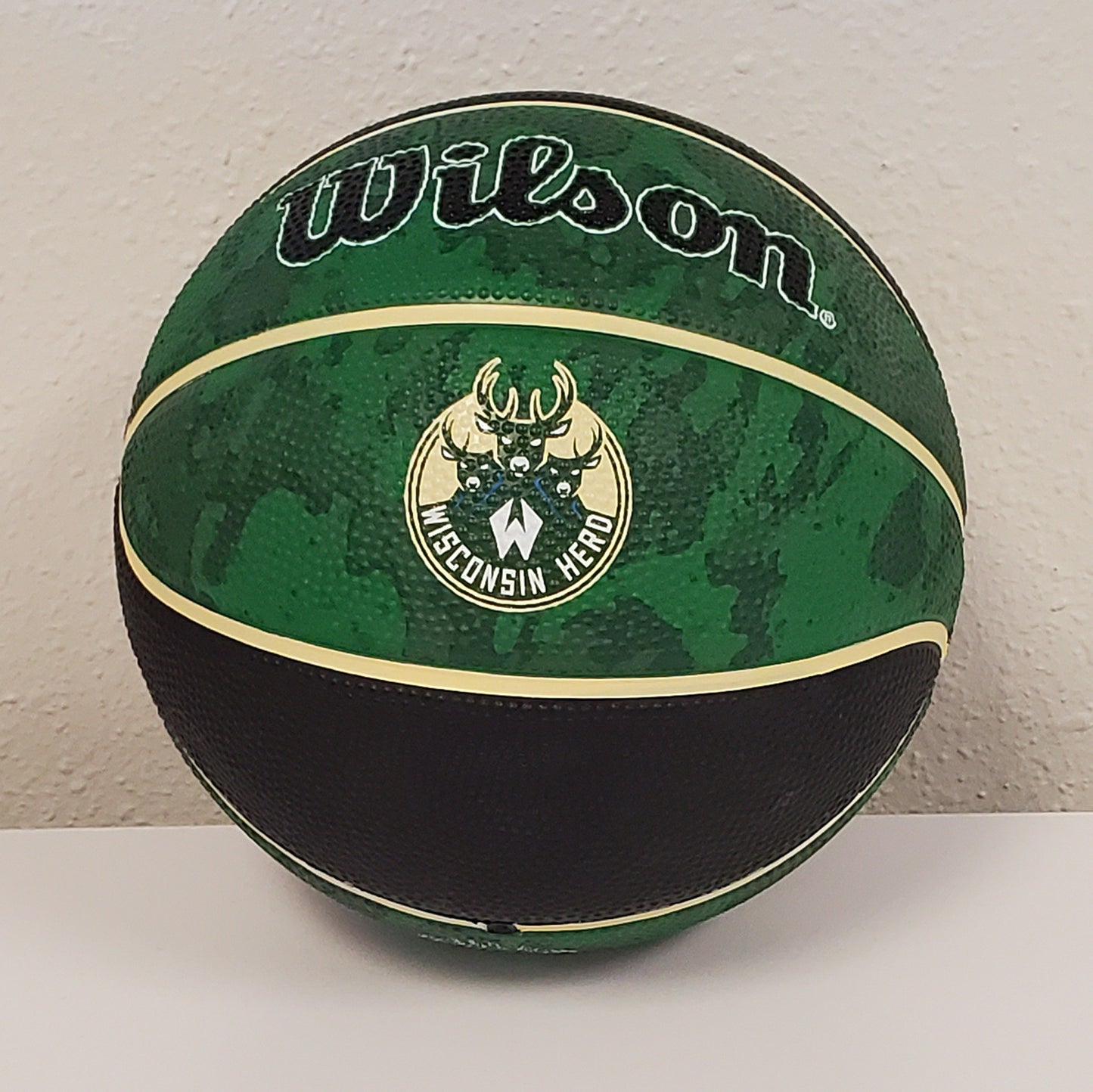 Wisconsin Herd Mini Basketball