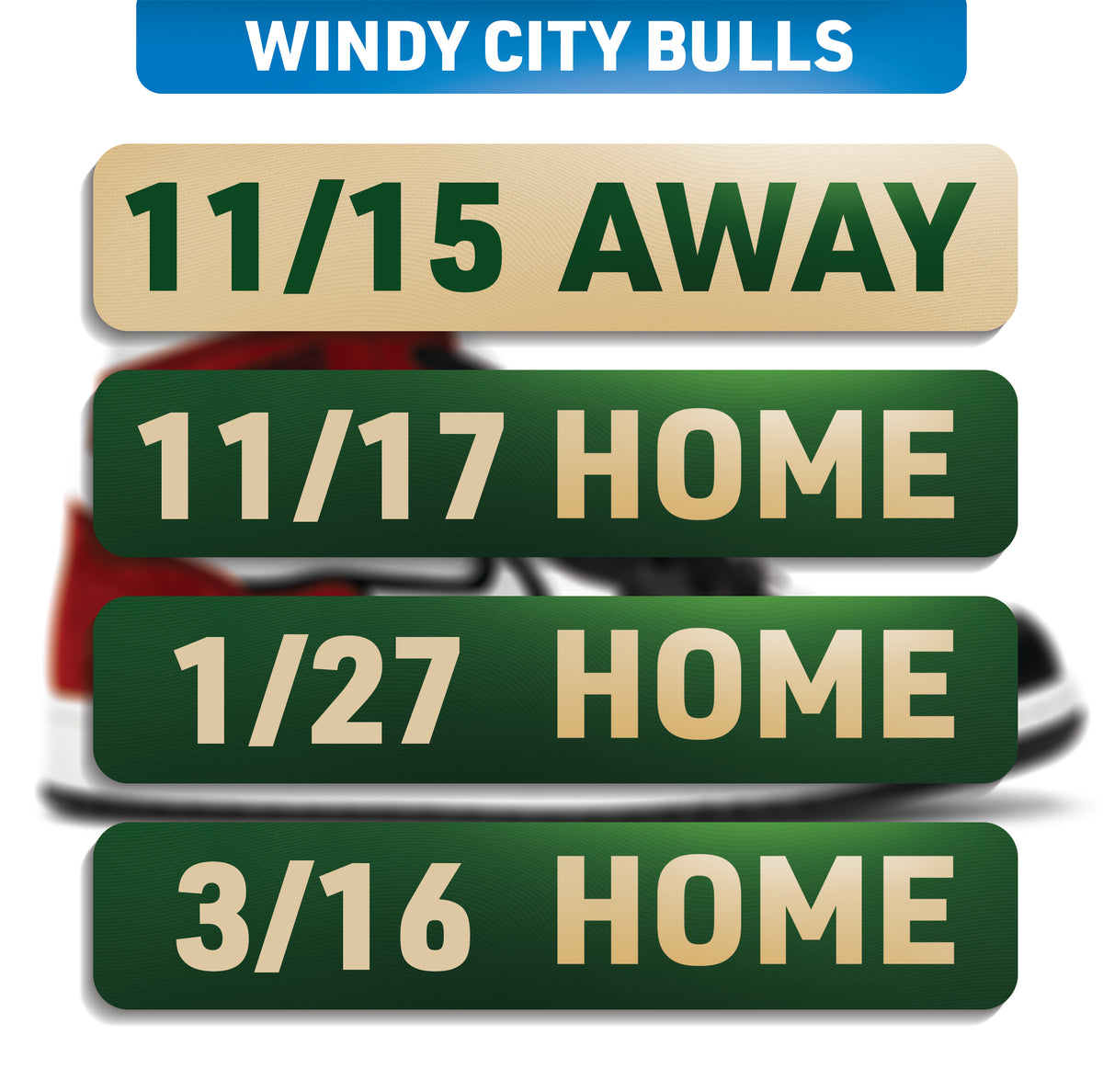WINDY CITY BULLS