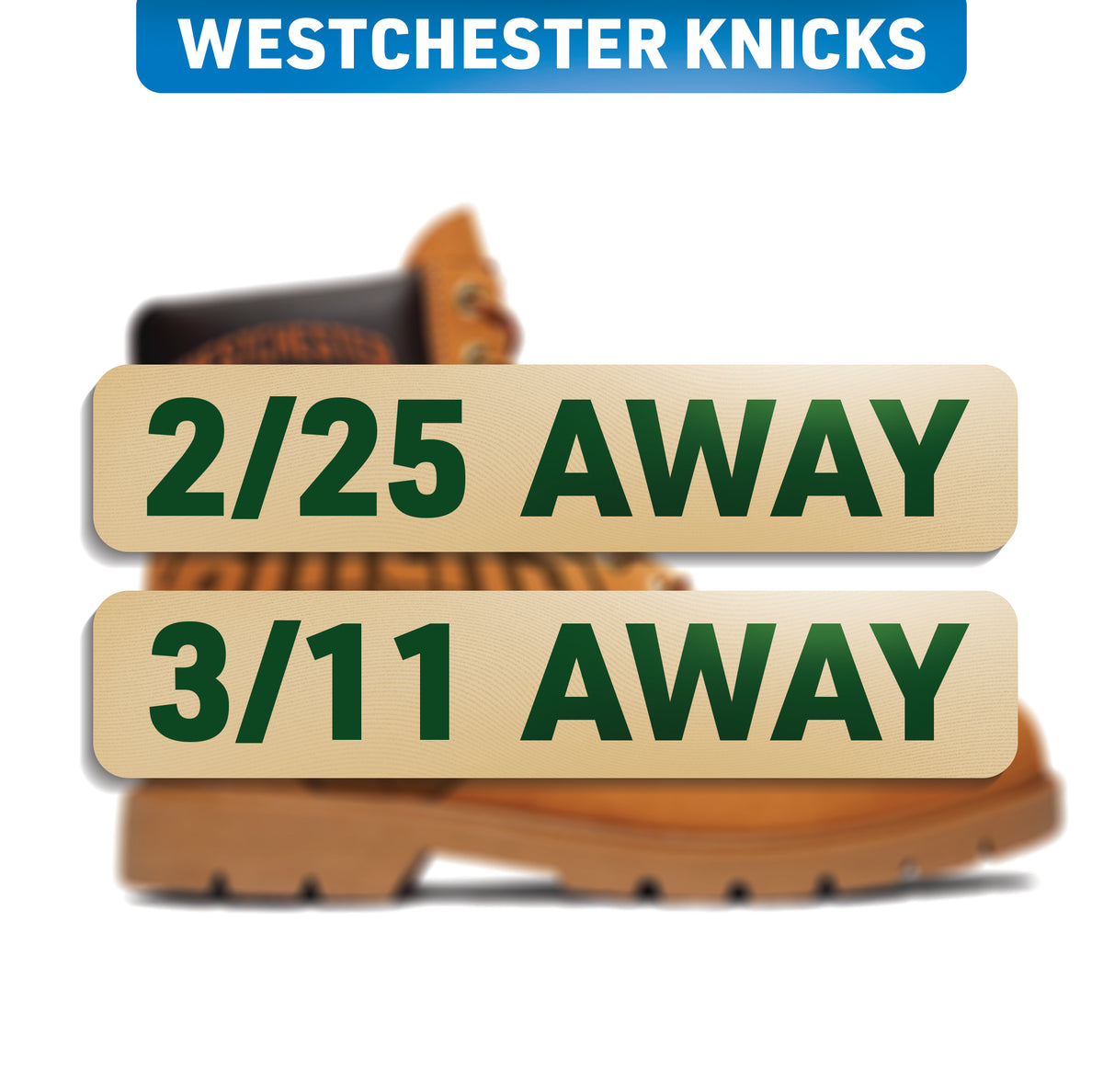 WESTCHESTER KNICKS