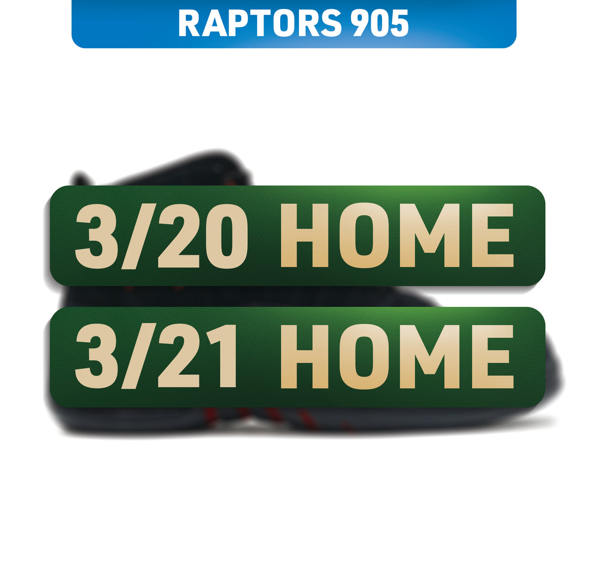 RAPTORS 905